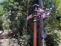 -旗山国家森林公园