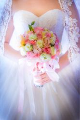 -保定金沙芝柏婚礼策划