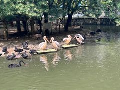 -黔灵山公园