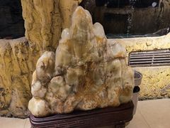 -乌鲁木齐海洋馆