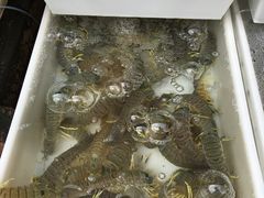 -拉威海鲜市场