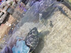 -鸿通城购物中心