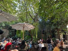 -Fern Forest Cafe