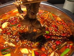 -宽口美蛙鱼头(大唐西市店)