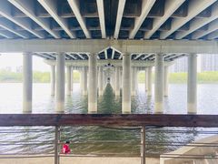 -长白岛森林公园