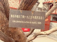 -北京鲁迅博物馆(北京新文化运动纪念馆鲁博馆区)