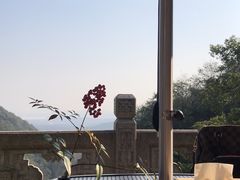 -韬光茶庵