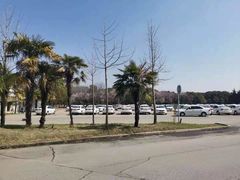 -胜华驾校·小猫学车(银都店)
