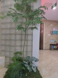 -重庆军美医疗美容医院