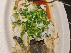 葱油淋鲜白贝鲈鱼-粤·向群饭店(二沙岛店)
