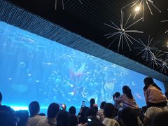 -华夏文旅海洋公园