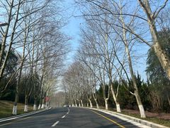 -钟山体育运动公园