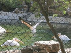 -石家庄市动物园