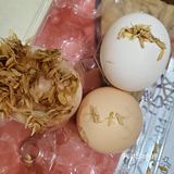 ️绝对是减脂解馋最佳首选