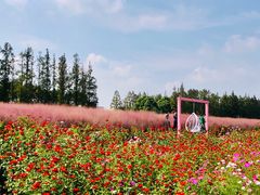 -嘉北郊野公园
