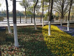 -艾溪湖湿地公园