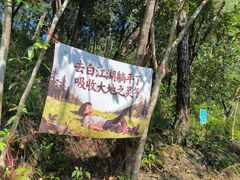 -广州白江湖森林公园