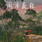 0元广州周边游🌟小众秘境六片山（附机位推荐）