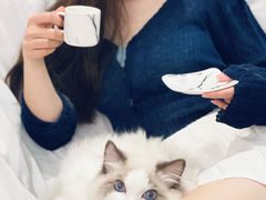 -袖虎·猫馆(体育西路店)