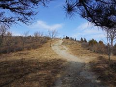 -阳台山自然风景区