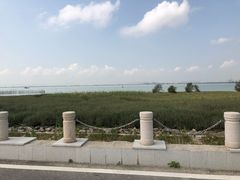 -芒洲湿地公园