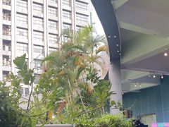 -CIAO·团建聚餐·生日派对轰趴馆(福田店)