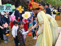 -郑州方特梦幻王国