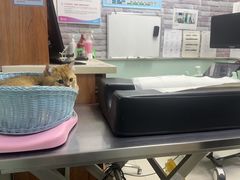 -纳吉亚猫专科动物医院博雅分院