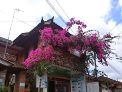 -乌布德传统市场