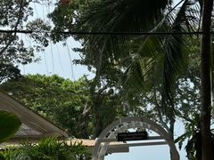 -卷心菜和避孕套餐厅(Pattaya)