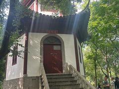 -上海佘山国家森林公园天马山园