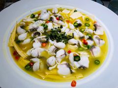 -青花椒花椒鱼(合生汇店)