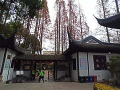 -上海醉白池公园