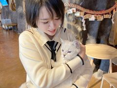 -猫猫幼稚园·撸猫·桌游·电玩