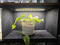 -不作·手工银饰DIY(西红门店)