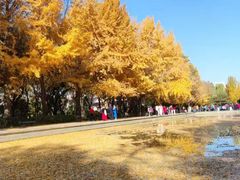 -玲珑塔公园