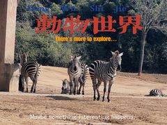 -杭州野生动物世界