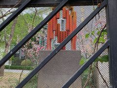 -北京第二实验小学