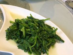 -石屏会馆