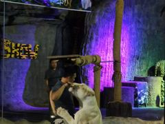 -清迈夜间动物园