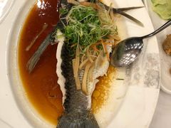 葱烧脆肉鲩-小榄人家酒楼(民安店)