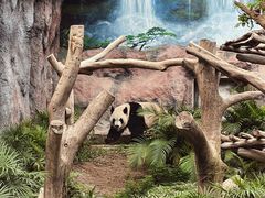 -石排湾郊野公园