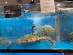 -Olé精品超市(上海港汇恒隆店)