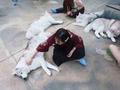 -TrueLove @ Neverland (Husky Cafe)