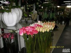 -双季花艺园艺市场(浦东店)