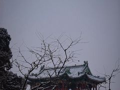 -颐和园
