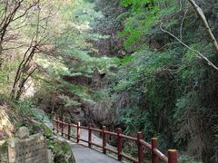 -王顺山国家森林公园