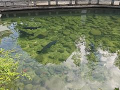 -姑婆山旅游区