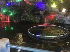 -桃园盛宴·岭南粤菜·手工茶点(南庄店)