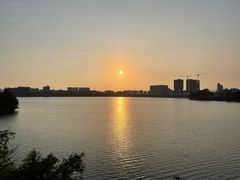 -立新湖公园